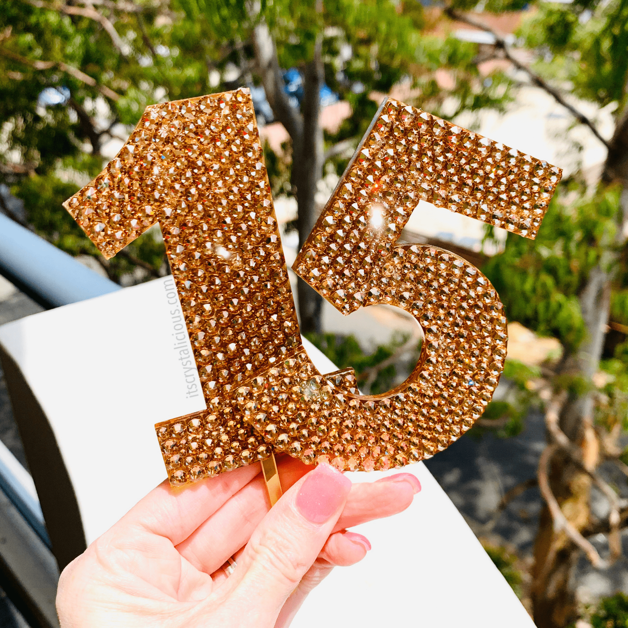Monogram Number Cake Topper - Solid * - It's Crystalicious®